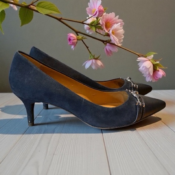 Coach Shoes - COACH Lauri Pointed-Toe Suede Pumps 9.5